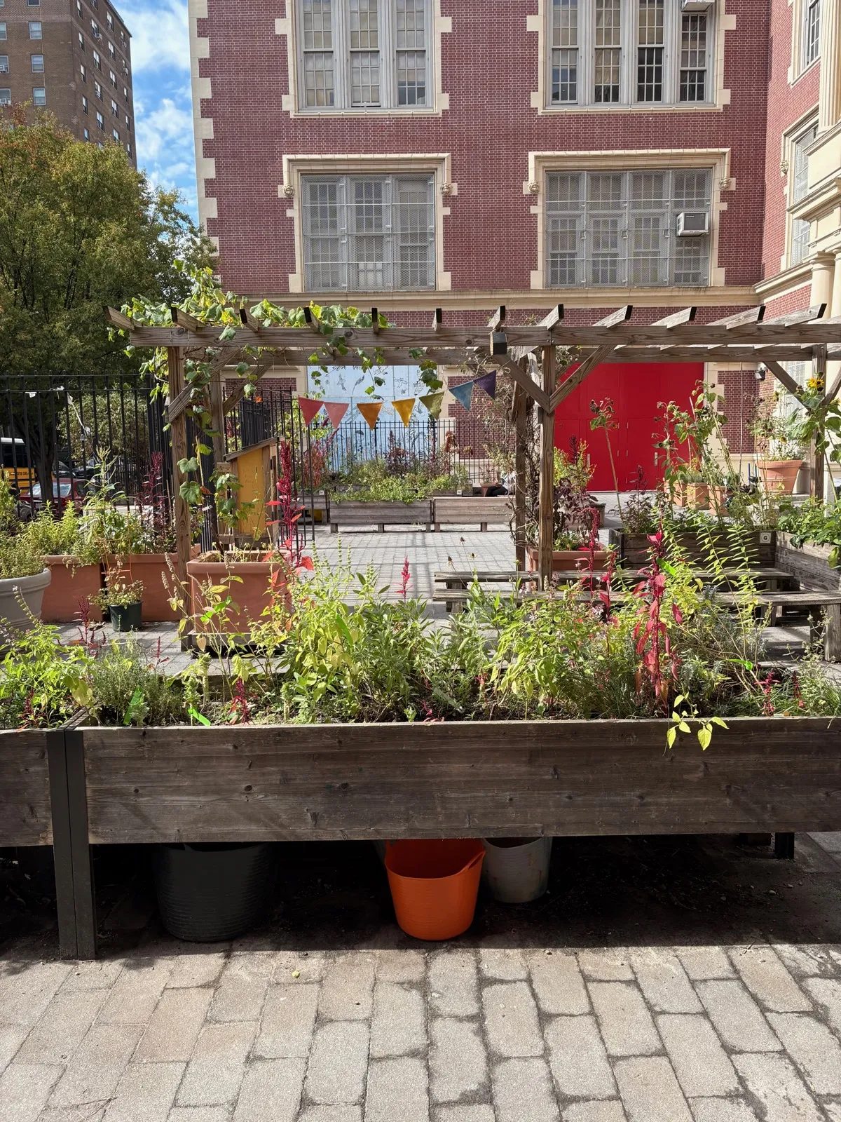 The 3rd Street Garden, a green space tended by TNS families and alumni