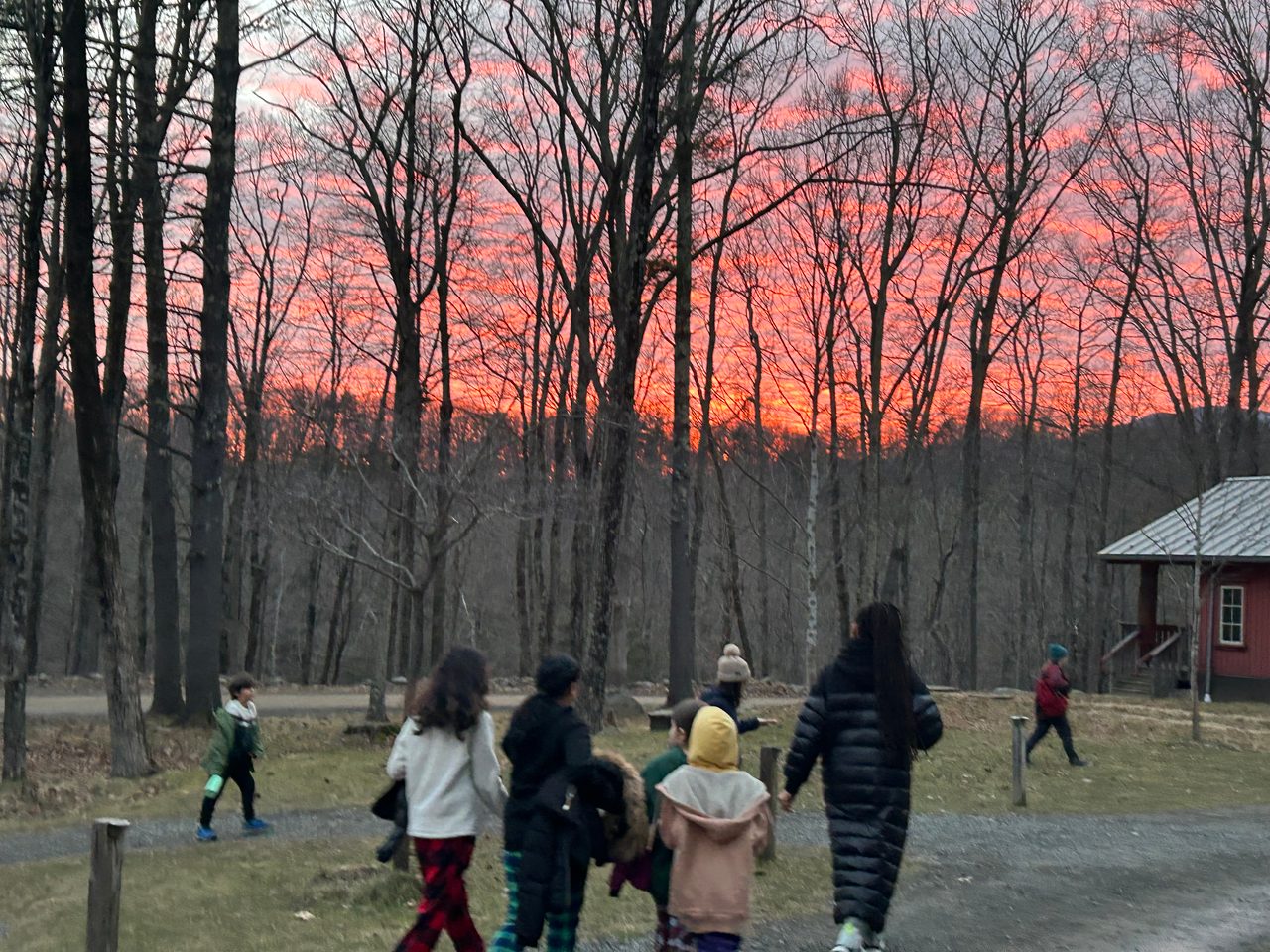 TNS students walking a wooded path at dusk on the overnight class trip to Camp Ramapo, an orange sunset behind bare trees